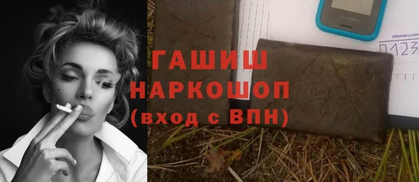 прущие грибы Новозыбков