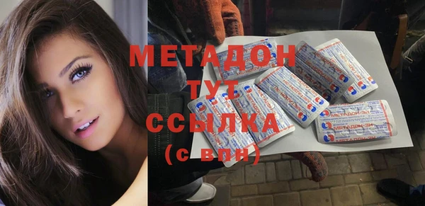 прущие грибы Новозыбков