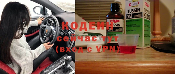 прущие грибы Новозыбков