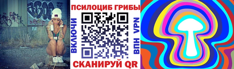 Псилоцибиновые грибы Magic Shrooms  где продают   Нерчинск 